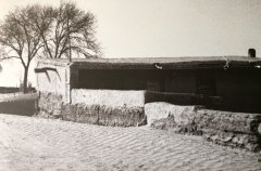 “两山论”提出15周年特别报道 “毛乌素变绿记”宁夏篇：众志缚沙数十载 万亩绿洲展新颜