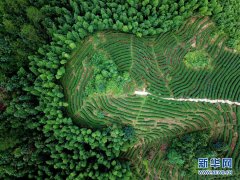 “红土地”越来越红火——福建老区苏区发展新貌掠影