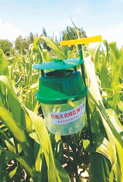 虫口夺粮，昆虫雷达助力战“妖蛾”