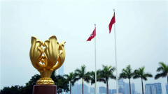 非洲观察丨非洲多国人士：香港推迟立法会选举体现生命至上理念 世界各国应给予充分理解和支持