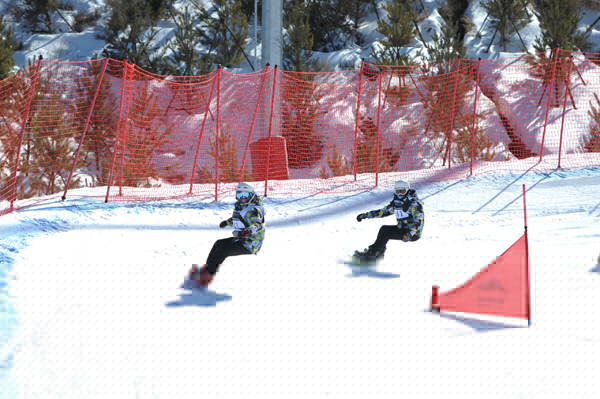 陈少军：构建新机制新格局推进江苏体育强省建设