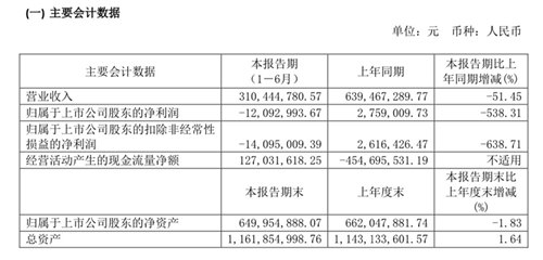 ST通葡：上半年亏损1209.3万元，同比下降538.31%
