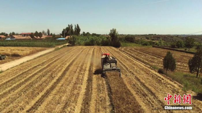 中国将从七方面创新粮食监管