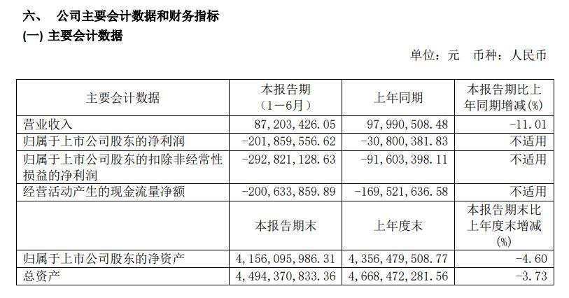 寒武纪上半年净亏2.02亿 同比扩大555%
