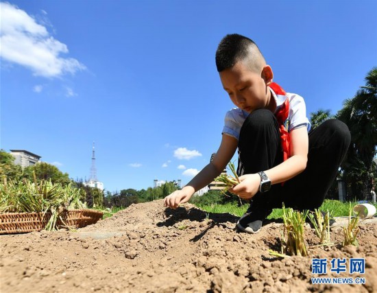 （教育）（2）西安：农耕体验迎开学