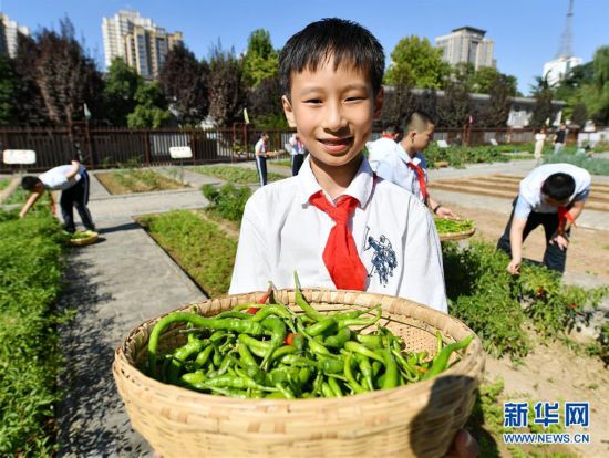 （教育）（4）西安：农耕体验迎开学