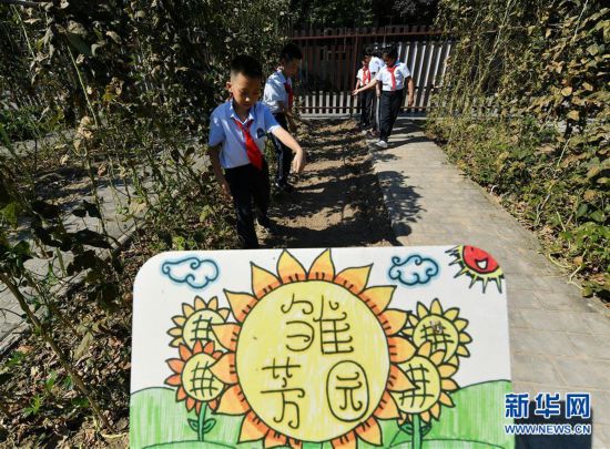 （教育）（5）西安：农耕体验迎开学