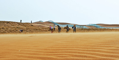 沙漠公路“植绿人”