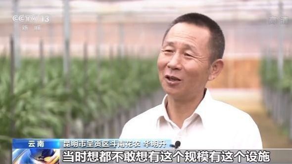 走向我们的小康生活丨昆明斗南：小康生活像花 越开越美