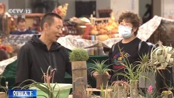 走向我们的小康生活丨昆明斗南：小康生活像花 越开越美