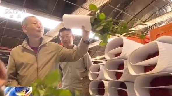 走向我们的小康生活丨昆明斗南：小康生活像花 越开越美