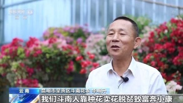 走向我们的小康生活丨昆明斗南：小康生活像花 越开越美