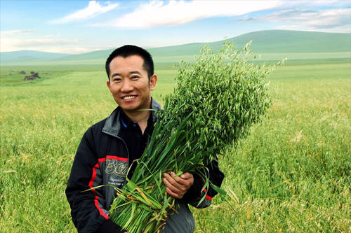 “中国天然燕麦第一人李刚岭”耗时七年打造出一杯高端素食营养早餐