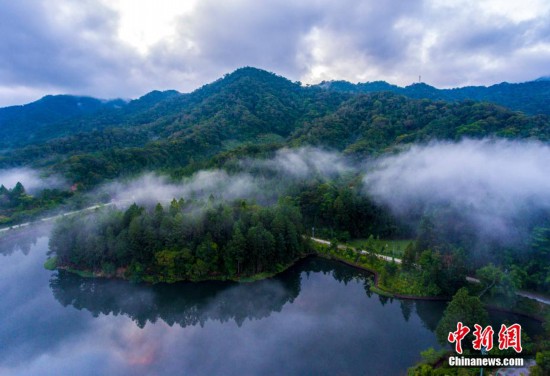 海南尖峰岭天池宛若仙境