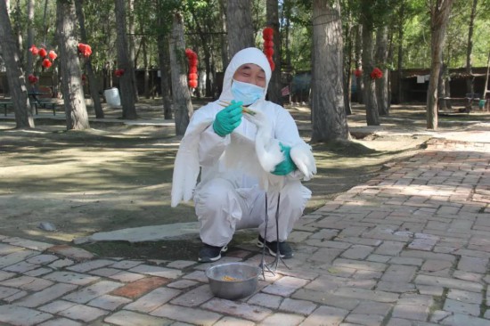 警民联手！博乐成功救助两只国家二级保护动物