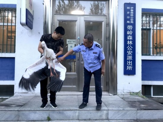 积极救助野生动物努力营造和谐生态