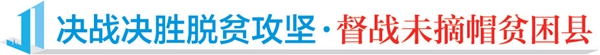 好日子是干出来的——甘肃省镇原县、通渭县、岷县脱贫攻坚一线见闻