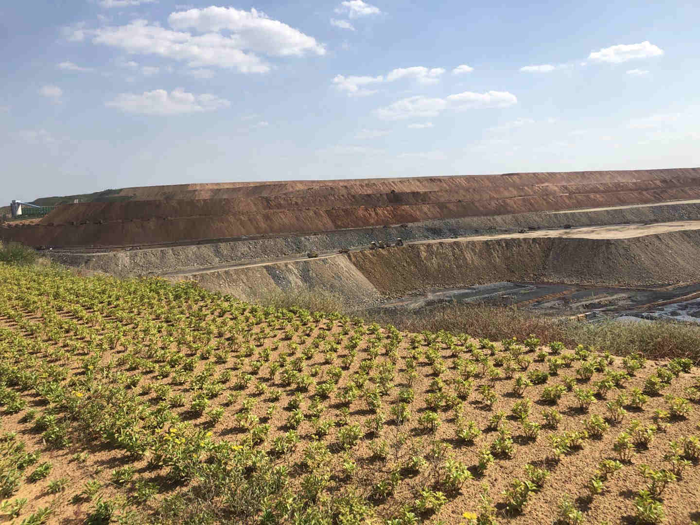 奏响新时代治水强音让黄河造福人民