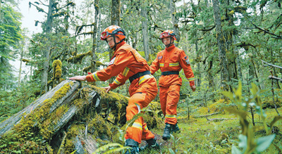 守护山林绽放青春