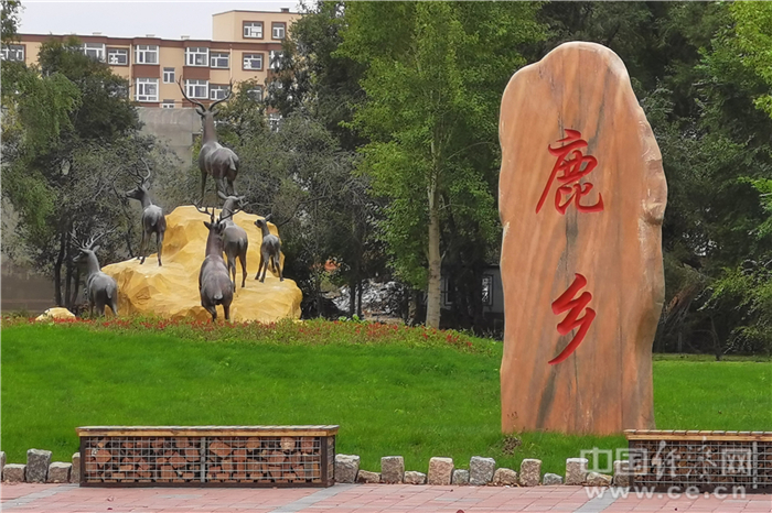 【幸福东北】鹿乡致富经：放大梅花鹿产业优势 幸福由鹿而起