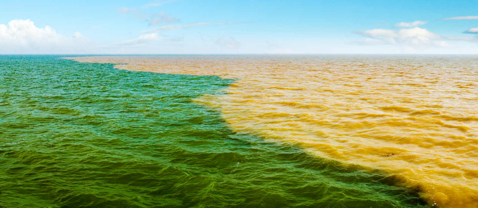 大河浩荡东流去人民治黄启新篇