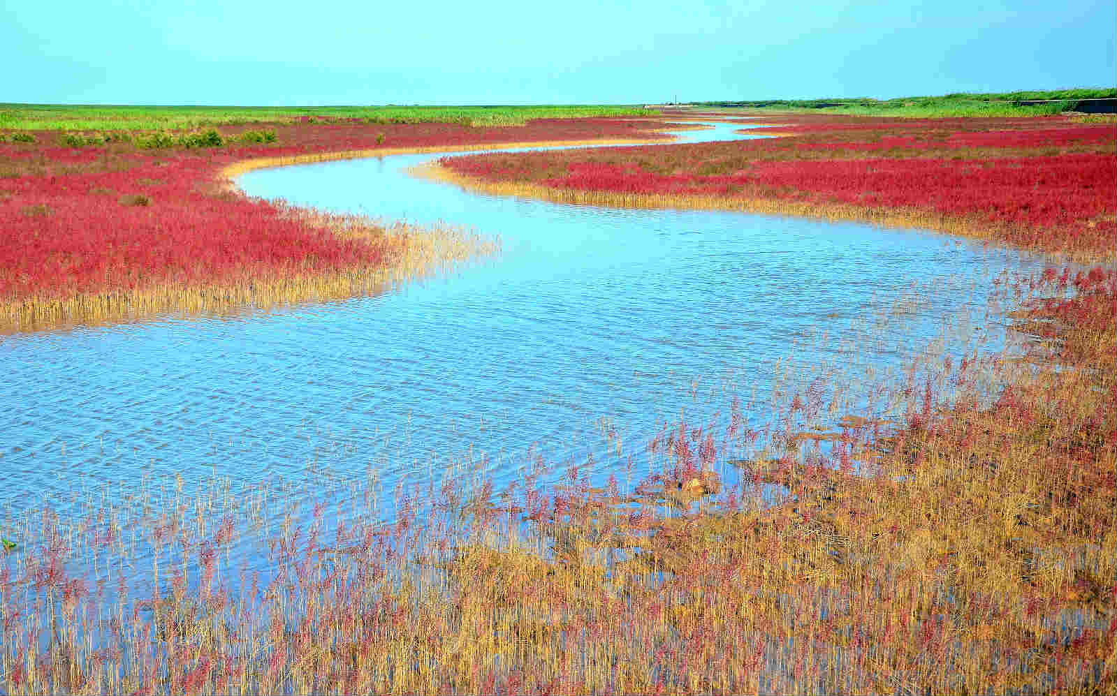 大河浩荡东流去人民治黄启新篇