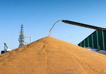 联合国粮农组织强调 疫情凸显确保粮食供应链畅通重要性