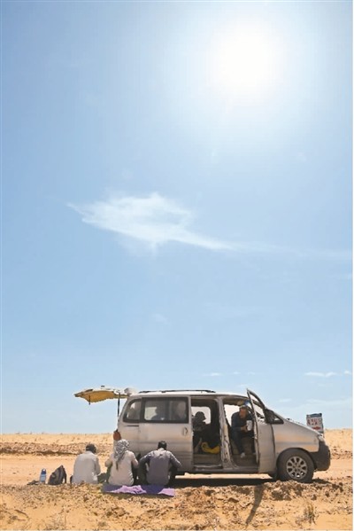 沙漠公路植绿人