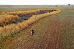 探访新疆阿勒泰科克苏湿地国家级自然保护区