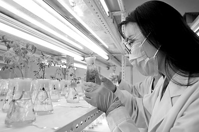 张来斌:重教学强科研不矛盾