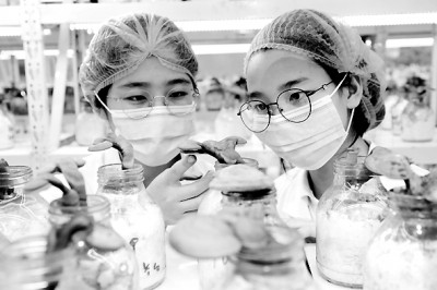 张来斌:重教学强科研不矛盾