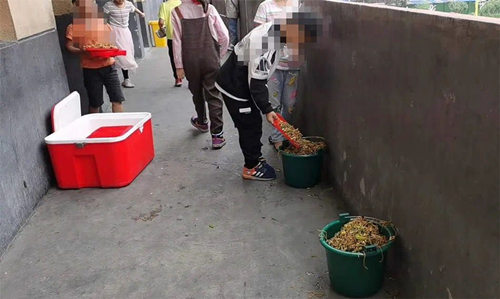 安徽一村小部分学生倾倒营养餐 当地教育局：学校两公职人员停职