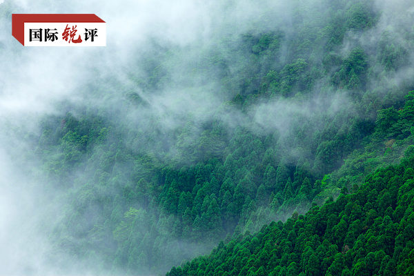 国际锐评丨“中国经验”为全球生态保护注入正能量