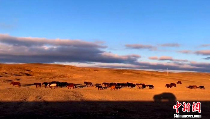 国庆假期过出年味儿！出门“浪”有新变化