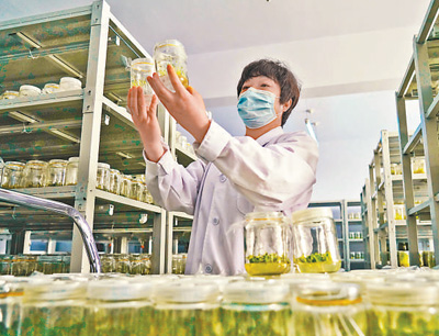 坝上小村庄 阔步奔小康（集中连片特困地区贫困村调研行）