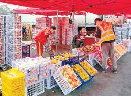 新发地“上新”蔬菜供应恢复往年水平