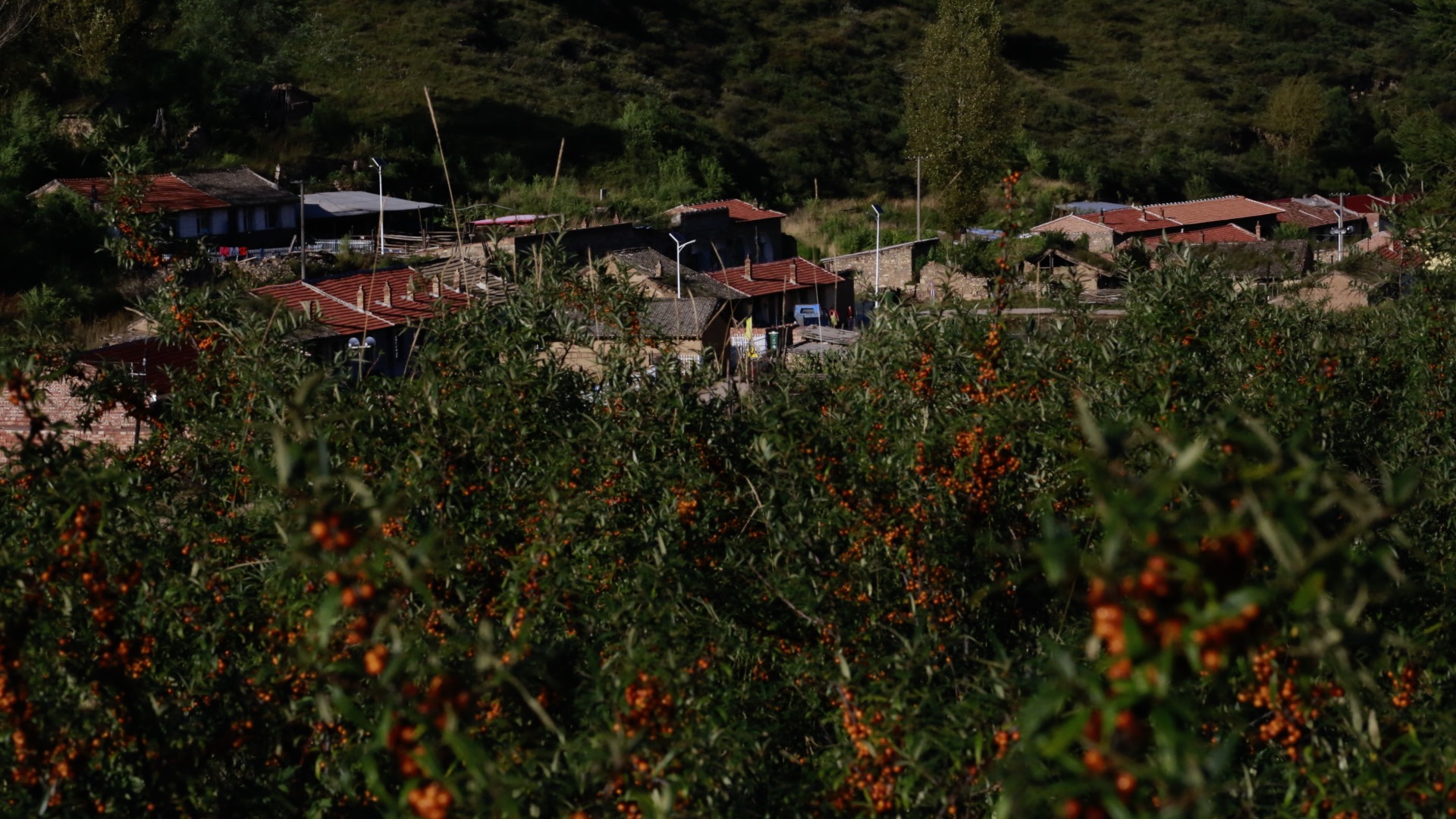 2020北京国际设计周闭幕:感受设计的力量与温度