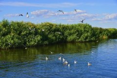 中国北疆：风从“两海”来