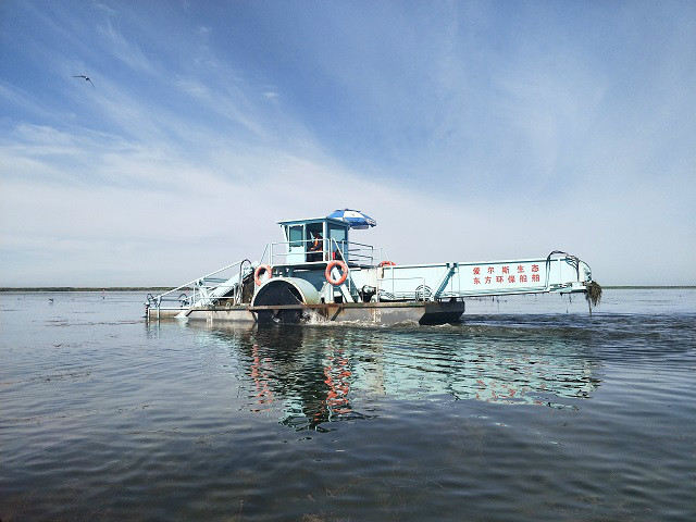 中国北疆：风从“两海”来