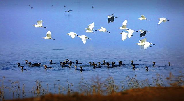 中国北疆：风从“两海”来