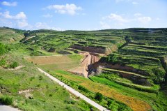 黄土高原：且看绿景满河山