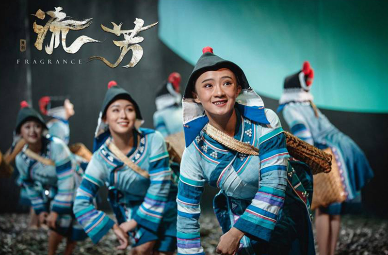 舞剧《流芳》 :他们把青春与茶苗播种在山坡上