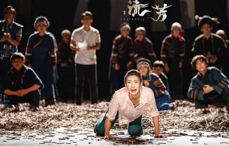 舞剧《流芳》 :他们把青春与茶苗播种在山坡上