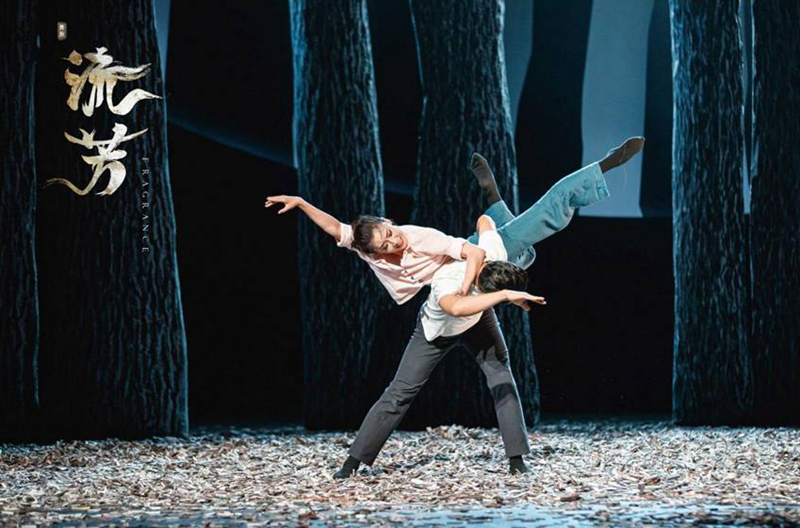 舞剧《流芳》 :他们把青春与茶苗播种在山坡上