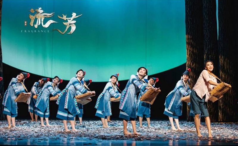 舞剧《流芳》 :他们把青春与茶苗播种在山坡上