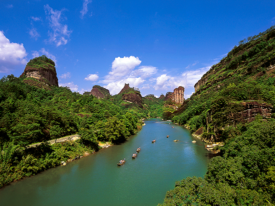 体制创新“破题而立”“武夷之花”绽新颜