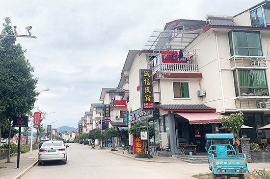 体制创新“破题而立”“武夷之花”绽新颜