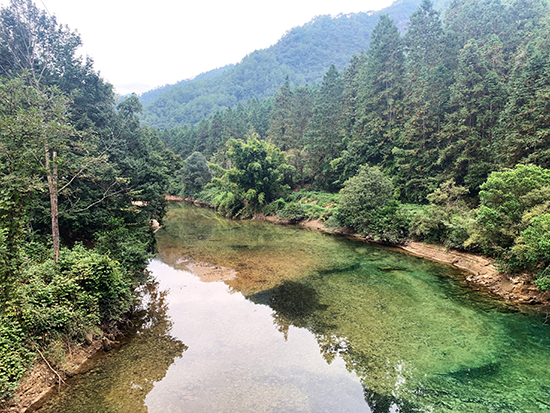 体制创新“破题而立”“武夷之花”绽新颜