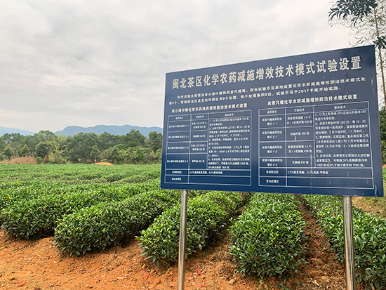 体制创新“破题而立”“武夷之花”绽新颜