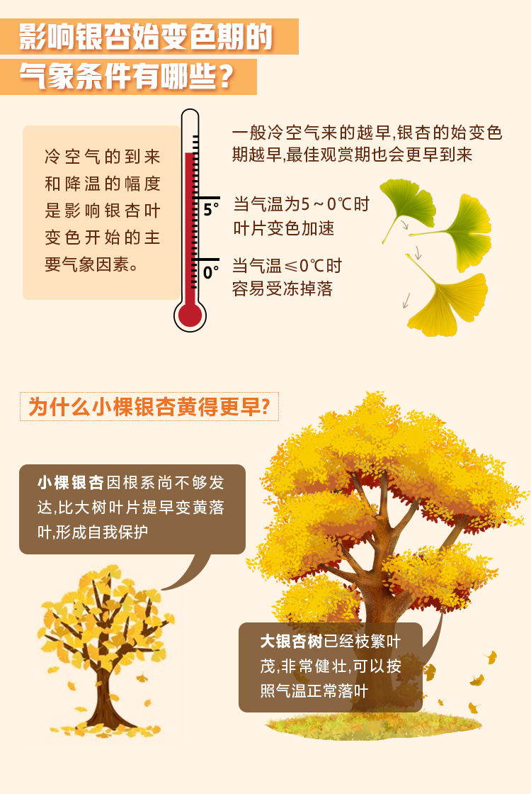 图解：2020北京赏秋指南来了！